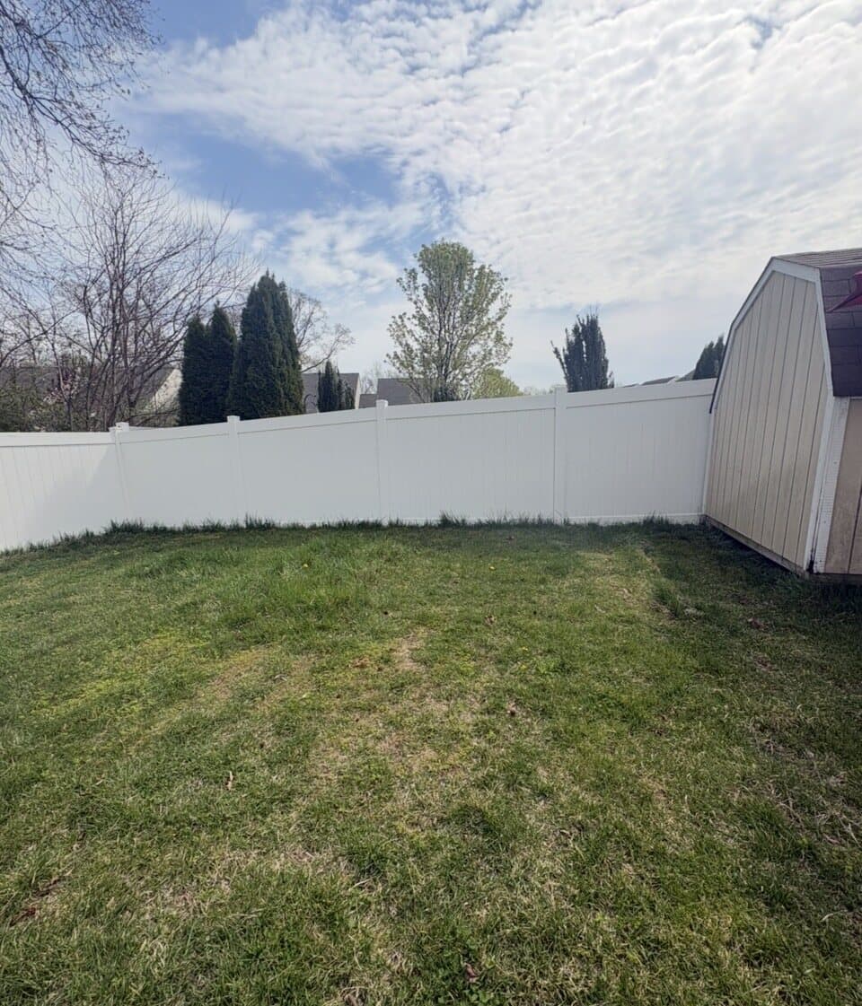 Fences after photo